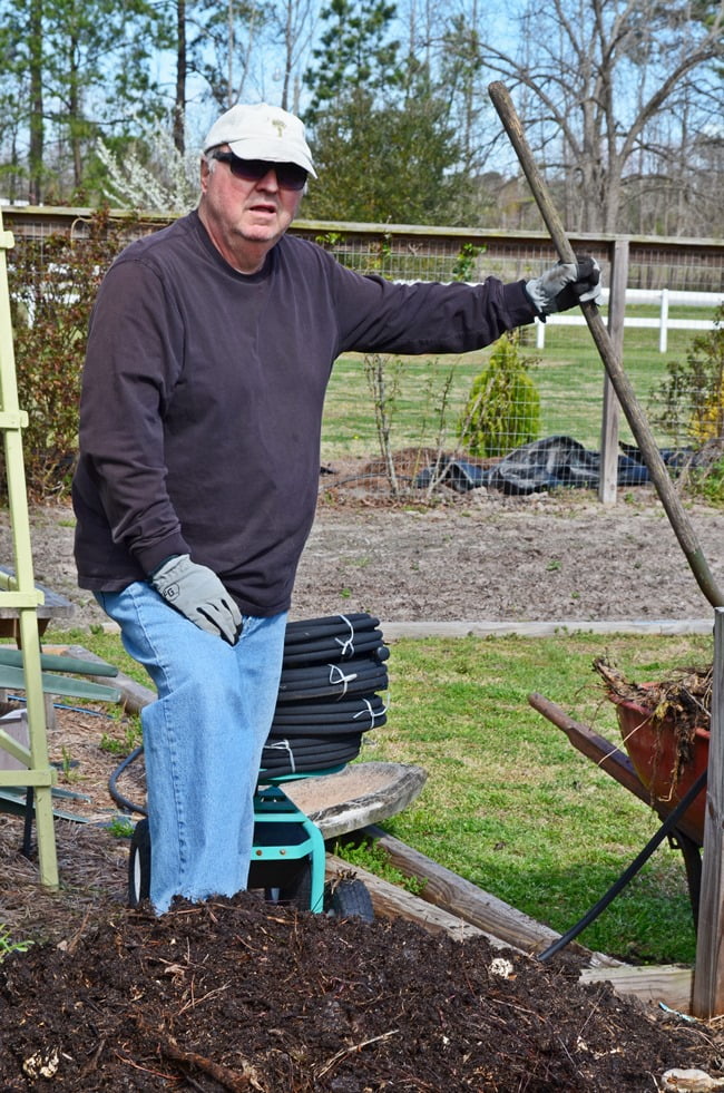 Leo in the compost bin | cottage at the crossroads