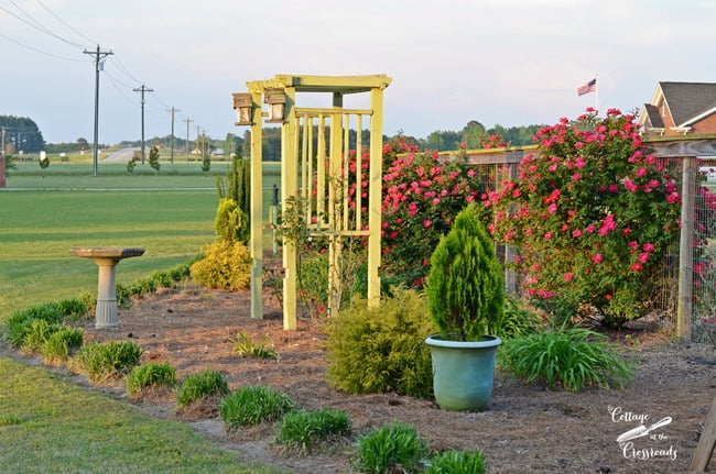 Arbor in the garden | cottage at the crossroads