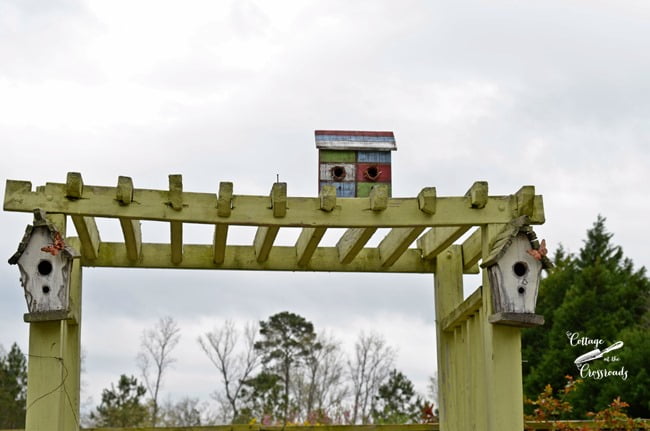 Birdhouses on an arbor