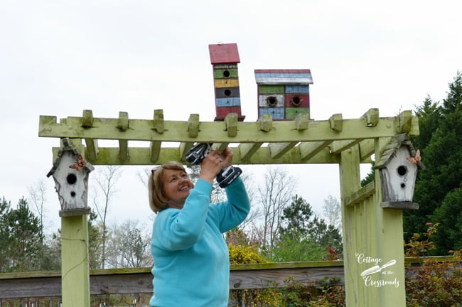 Birdhouses on an arbor