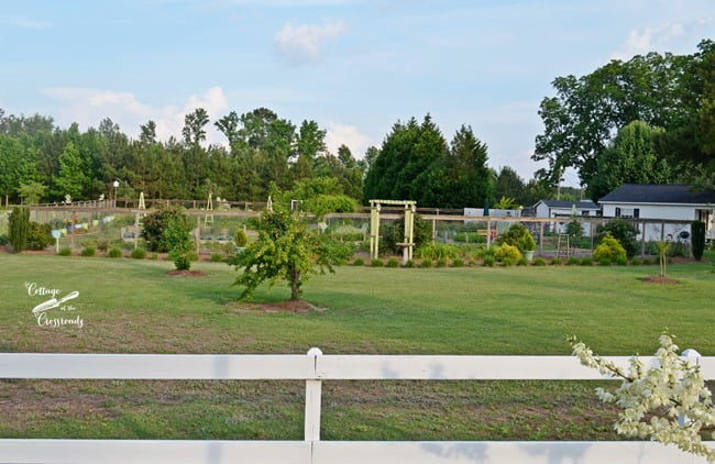 Flower bed in front of our vegetable garden | cottage at the crossroads