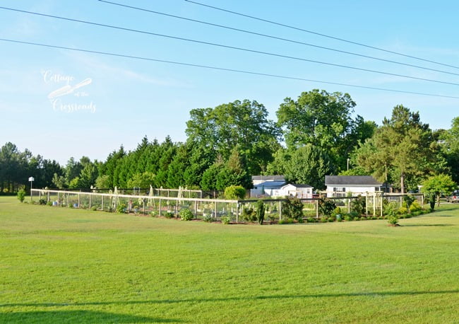 Flower garden in front of our vegetable garden | cottage at the crossroads