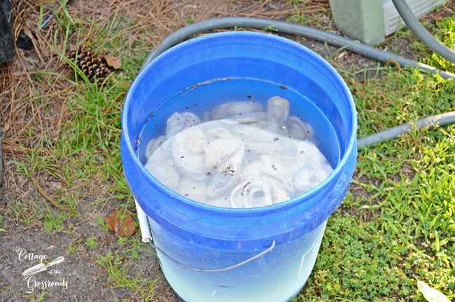 Bucket of bleached oyster shells | cottage at the crossroads