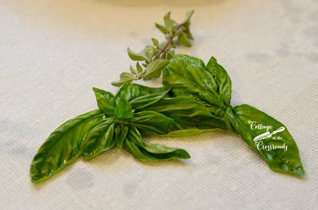 Fresh basil and oregano