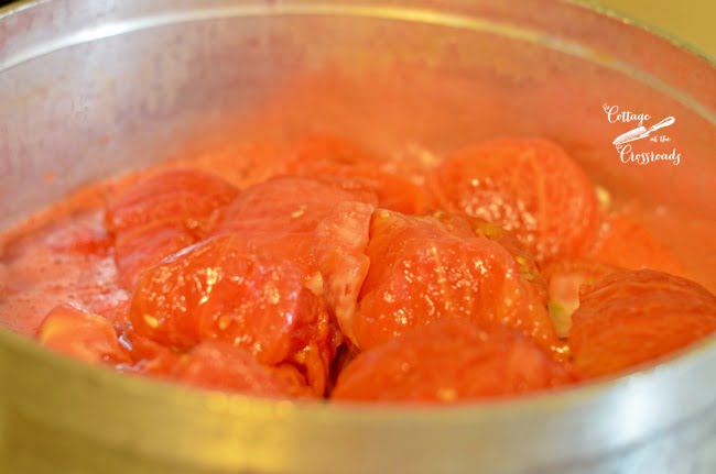 Using fresh tomatoes from the garden to make shrimp creole sauce