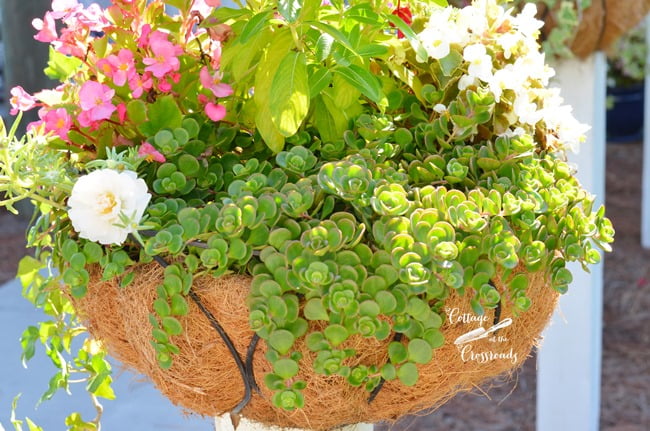 Flower baskets on wooden posts | cottage at the crossroads