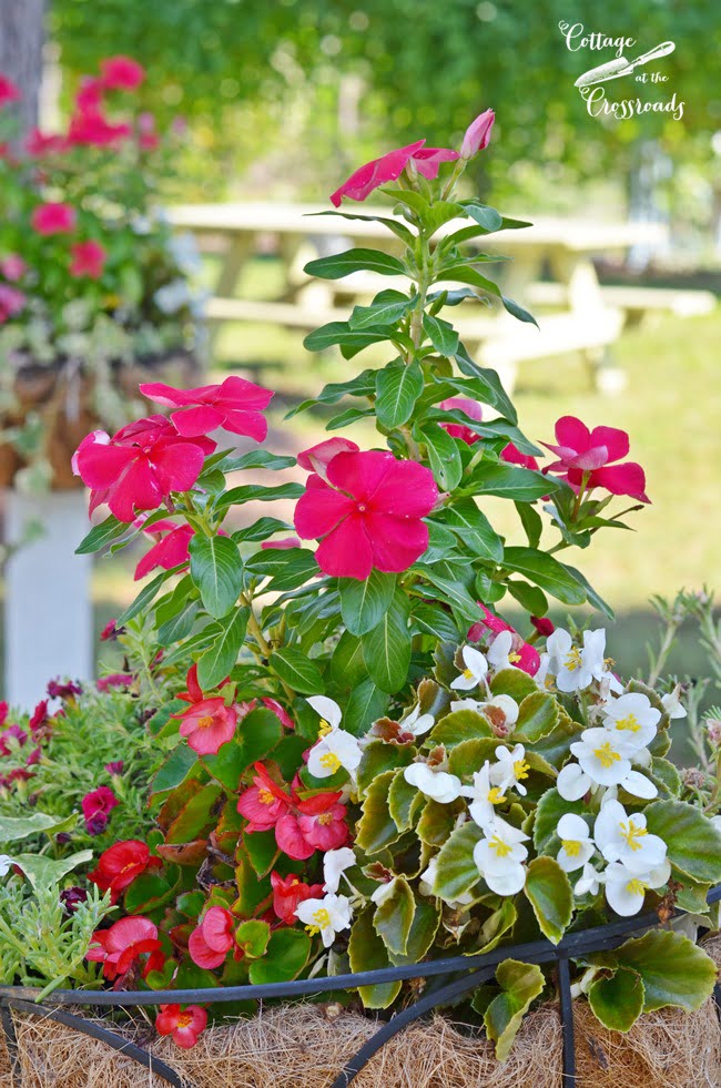 Flower baskets mounted on wooden posts | cottage at the crossroads