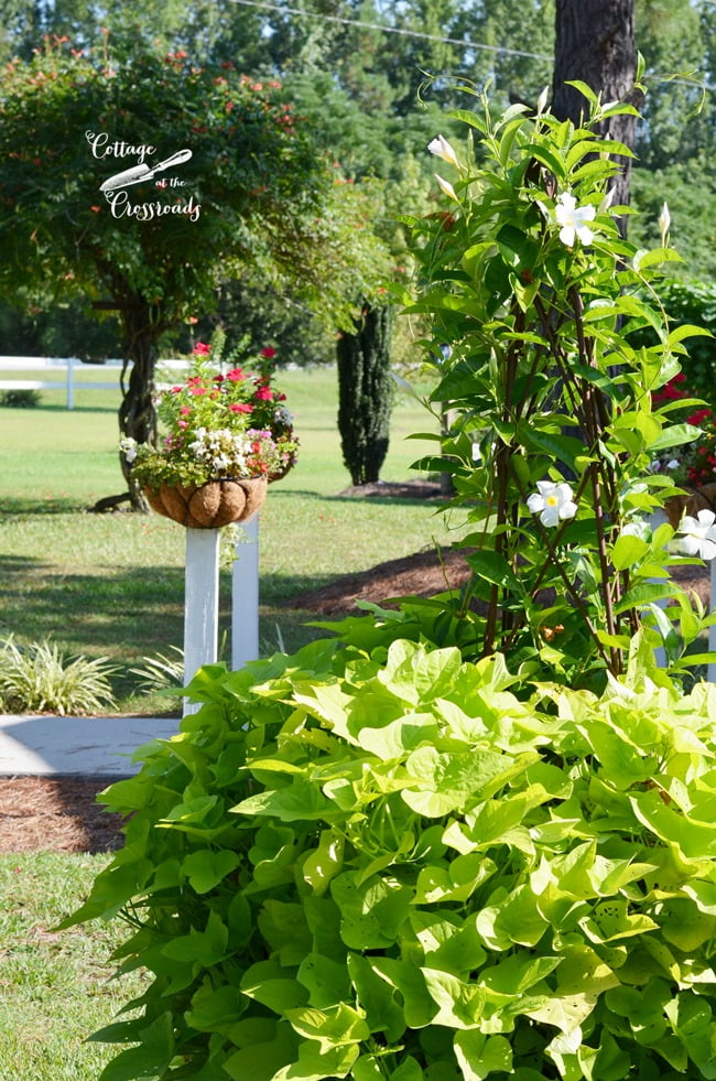 Flower baskets mounted on wooden posts | cottage at the crossroads