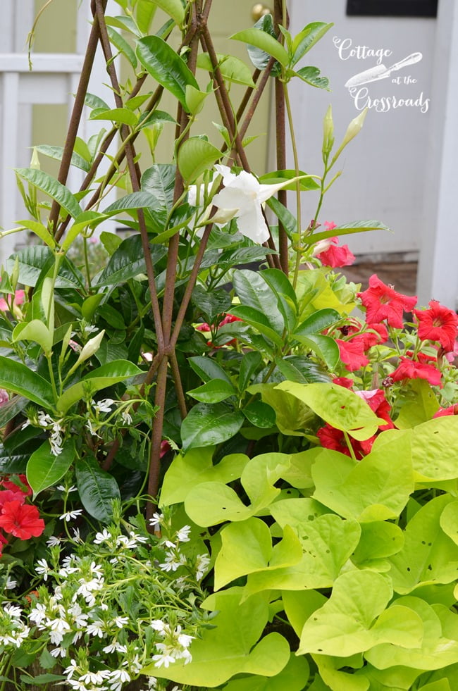 Flowers planted in a wooden barrel | cottage at the crossroads