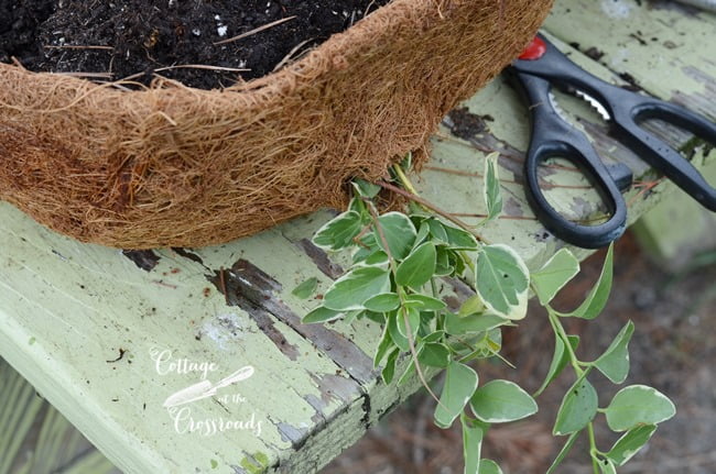 Flower baskets mounted on wooden posts | cottage at the crossroads