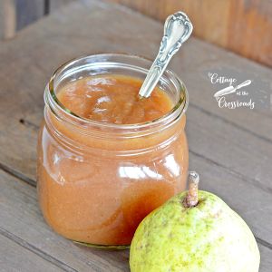 Pear apple butter square1 1