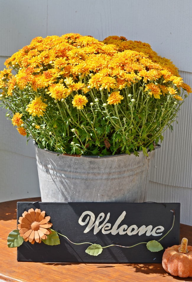 Chicken wire and pine cone fall wreath | cottage at the crossroads