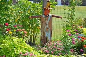 Zinnias and Flowers in the Garden - Cottage at the Crossroads