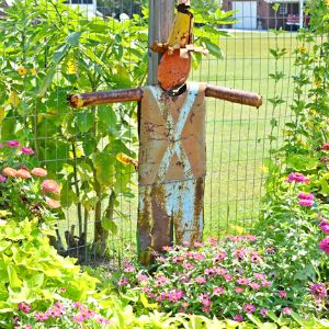 Rusty the scarecrow guarding the zinnias in the garden