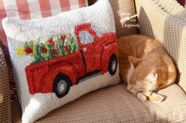 Henry beside a christmas truck pillow