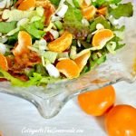 Mandarin orange salad 094 1
