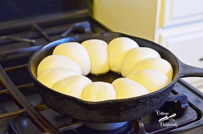 Thawed and risen dinner rolls