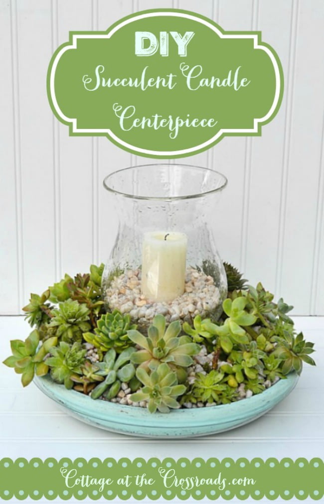 Easy to make succulent candle centerpiece
