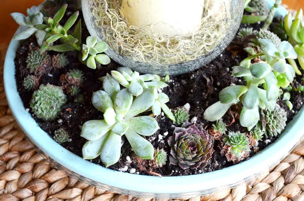 Candle centerpiece with succulents planted around it