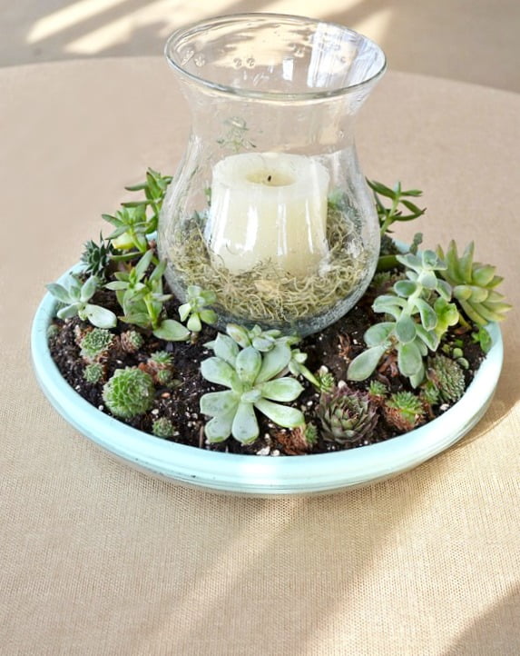 Diy succulent candle centerpiece | cottage t the crossroads