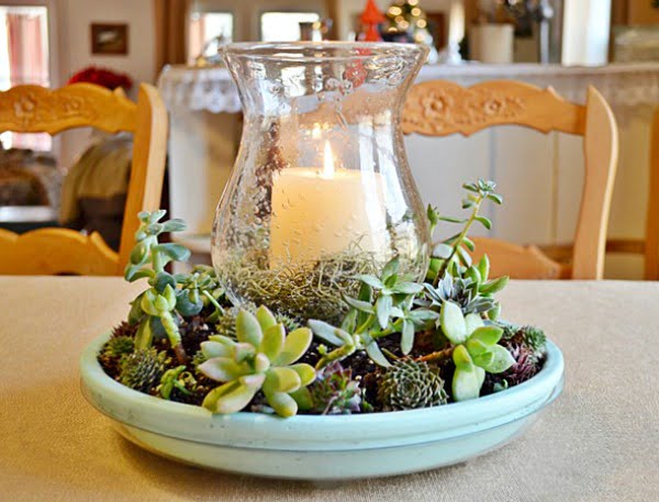 Diy succulent candle centerpiece | cottage at the crossroads