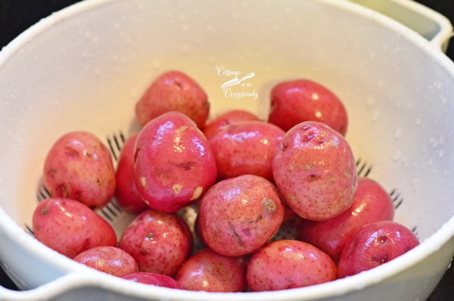 Red potatoes