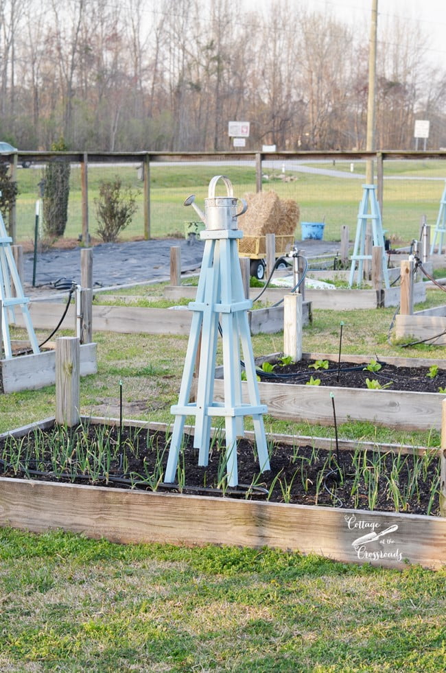 Wooden pyramid shaped trellis | cottage at the crossroads