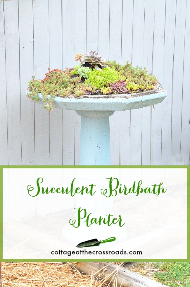 Repurposed succulent birdbath planter | cottage at the crossroads