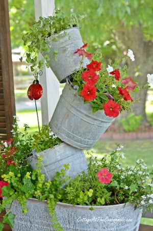 Summer galvanized bucket planter | cottage at the crossroads