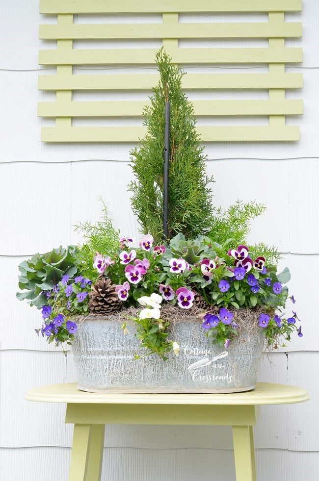 Galvanized tub planter with pansies | cottage at the crossroads