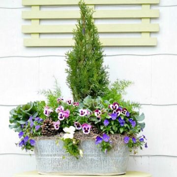 Spring galvanized bucket planter | cottage at the crossroads