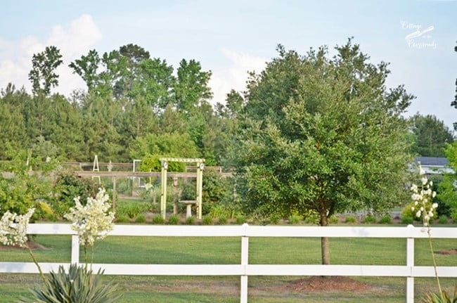 Repurposed birdbath planter | cottage at the crossroads