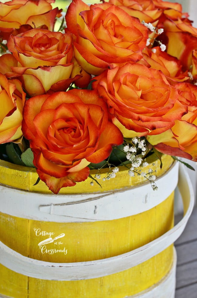 Roses in a yellow painted wooden bucket | cottage at the crossroads