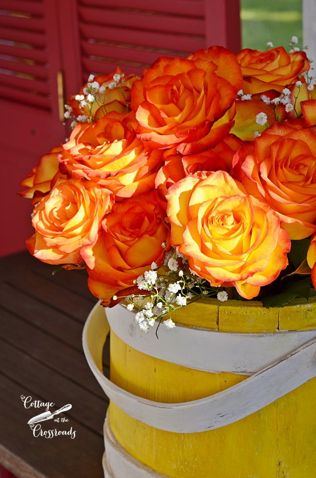 Roses in a painted sugar bucket | cottage at the crossroads