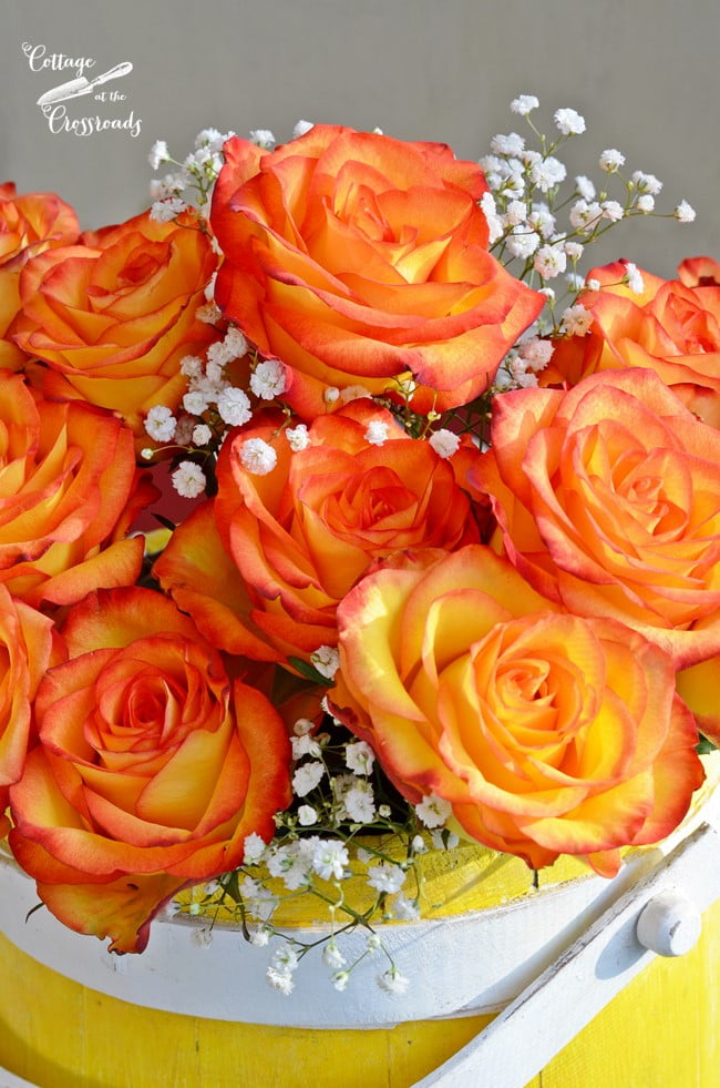 Yellow and orange roses