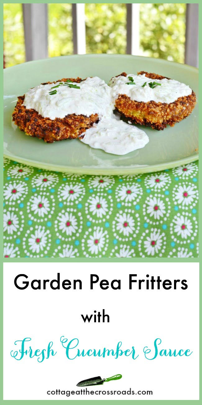 Delicious garden pea fritters with fresh cucumber sauce