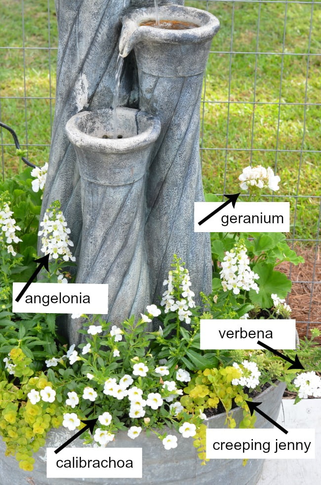 White flowers in a galvanized tub fountain planter