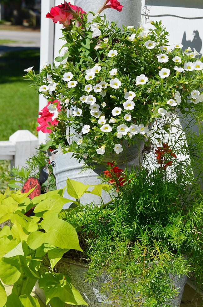 Summer Topsy Turvy Planter - Cottage at the Crossroads