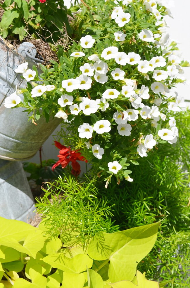 Topsy Turvy Galvanized Buckets - Cottage at the Crossroads