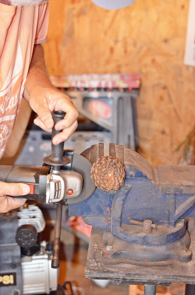 Using a grinder to cut pine cones