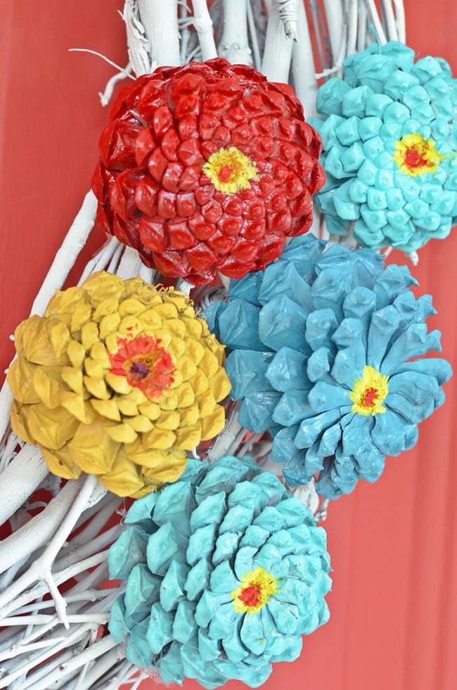 Pine cone zinnias