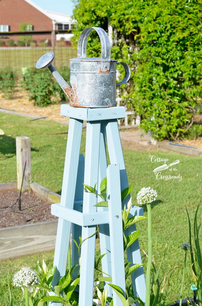 Blue trellises in raised beds in the garden