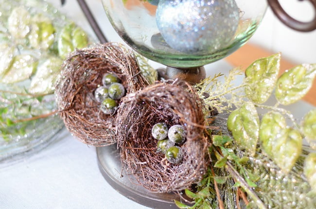 Bird nests