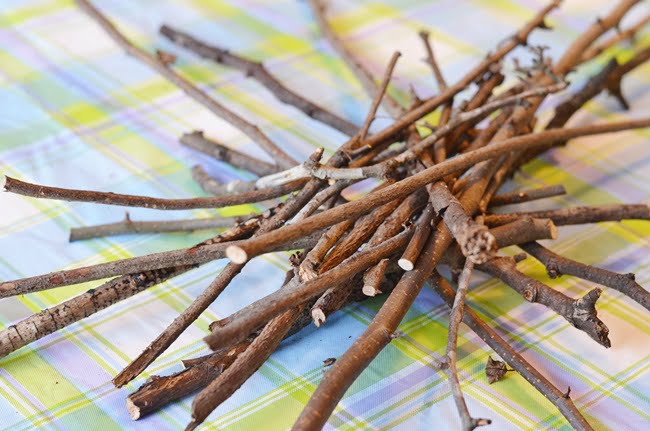 Twigs from the yard