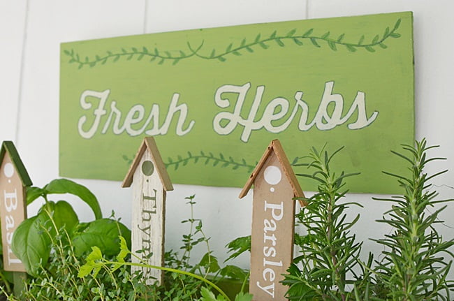 How to create a hanging herb garden | cottage at the crossroads
