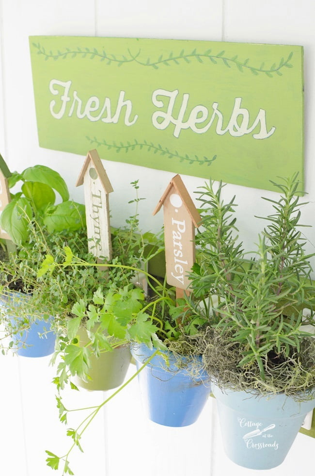 How to make a hanging herb garden | cottage at the crossroads