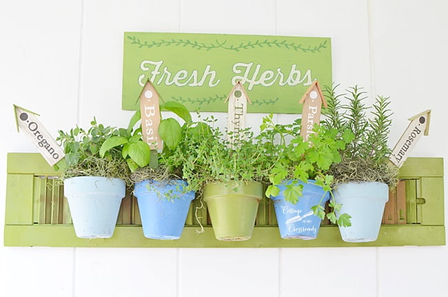 Common culinary herbs hanging on a repurposed shutter | cottage at the crossroads