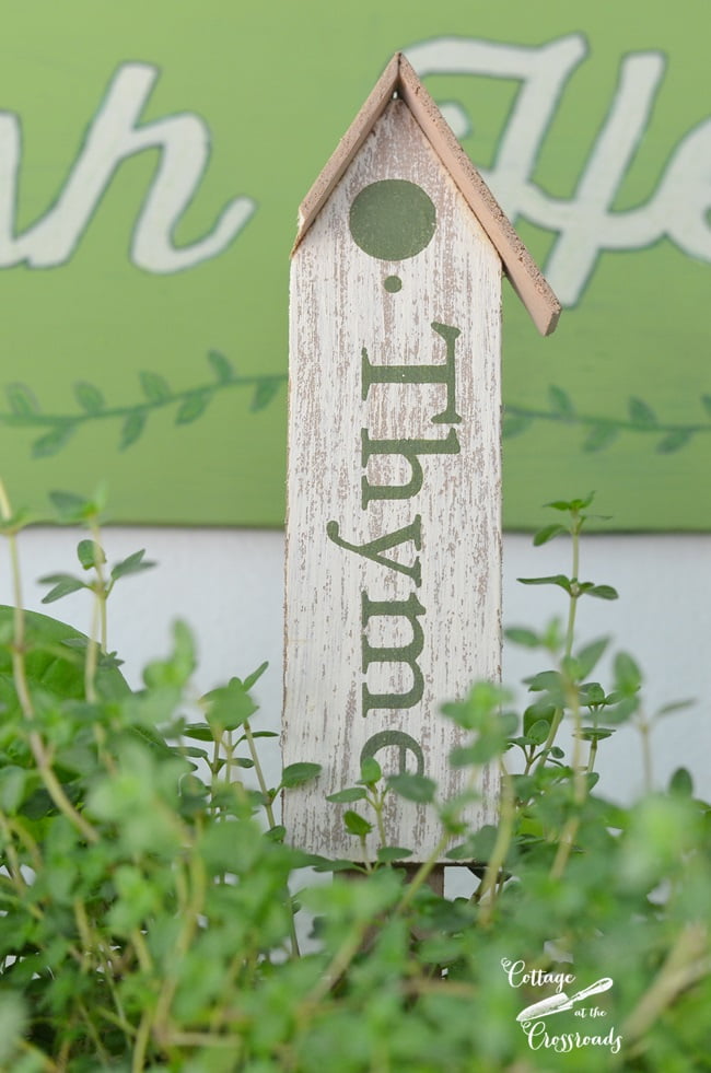 Herb plant markers from walmart