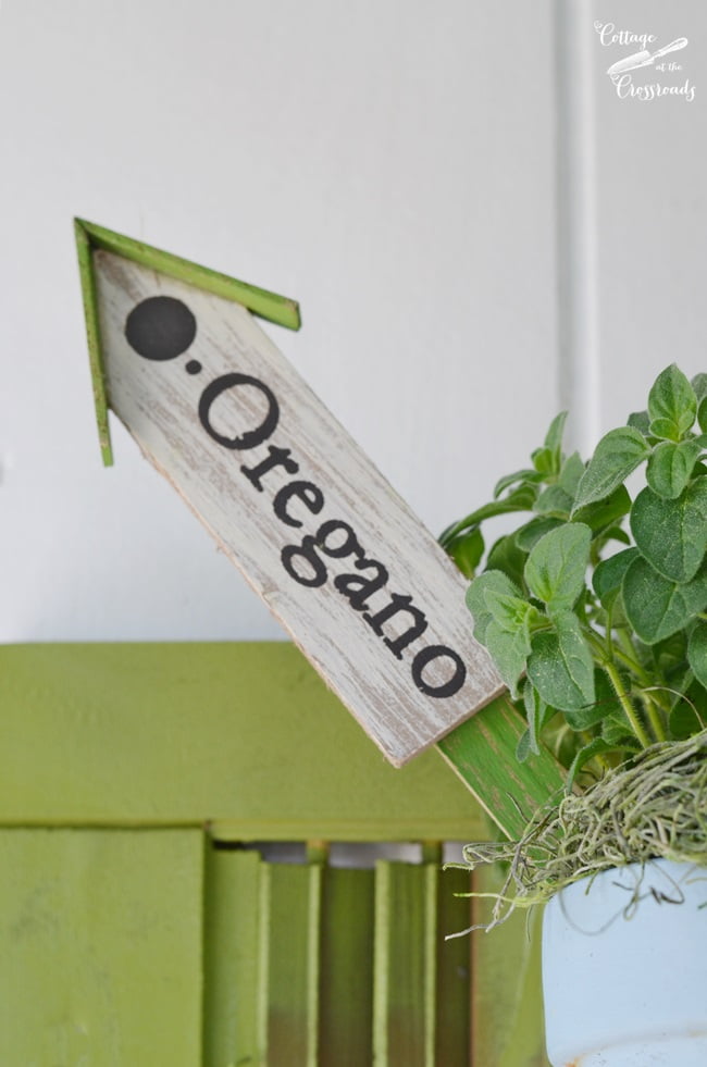 Herb plant markers