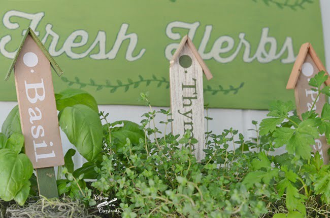 Decorative herb plant markers